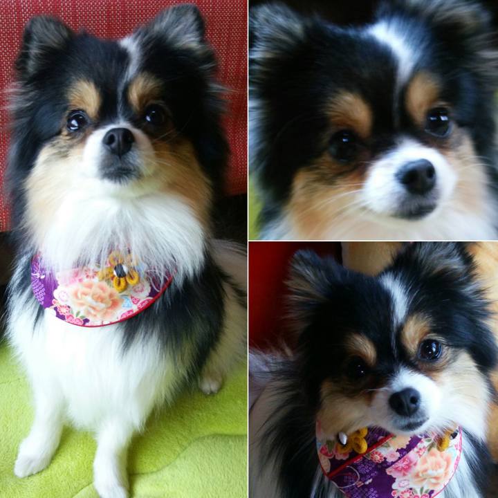 F6224935 58bc 4267 a19a 55e9b2380b89 1514770216712