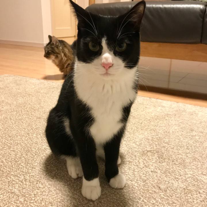 F622695d 979f 4050 9508 0a131736472e 1510577835878