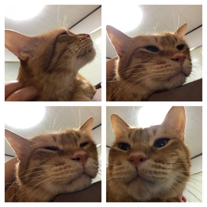 F622afc8 1a5d 42f2 bcd6 2fd74d430c85 1607636287143