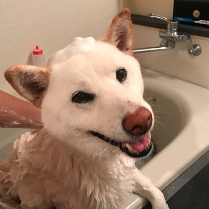 F622b784 cb28 44a5 944c d16fc26e471a 1526194214855