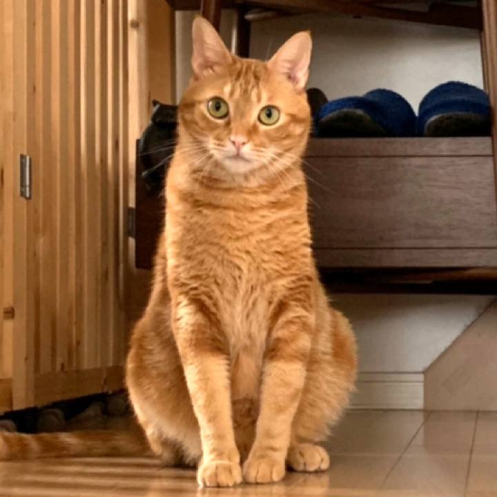 F622bad0 6f74 486f 911b 89887b411296 1566605945345