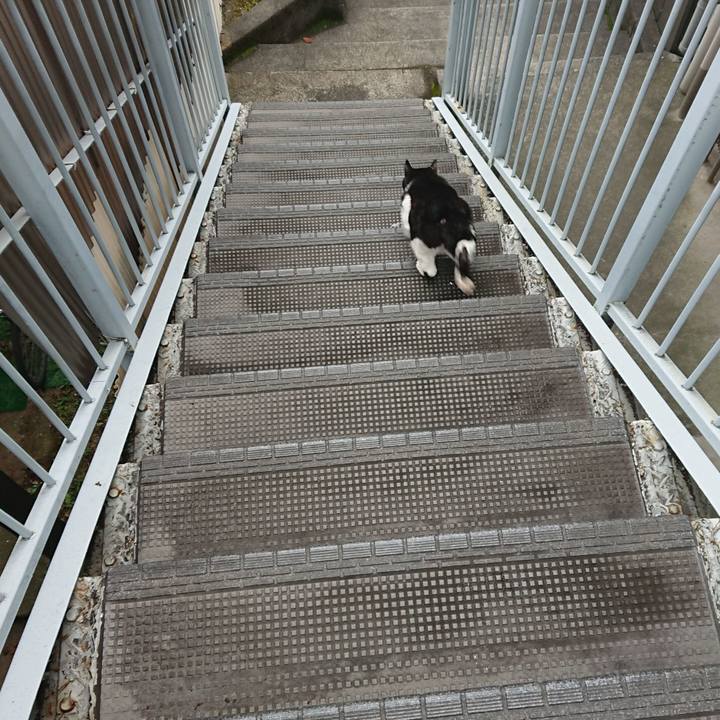 F622bc38 8675 49f0 8eec d30f1344340f 1673757981279