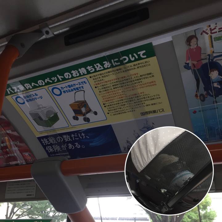 F622c364 ed17 46d3 aa12 6a276fa08d26 1535795022806