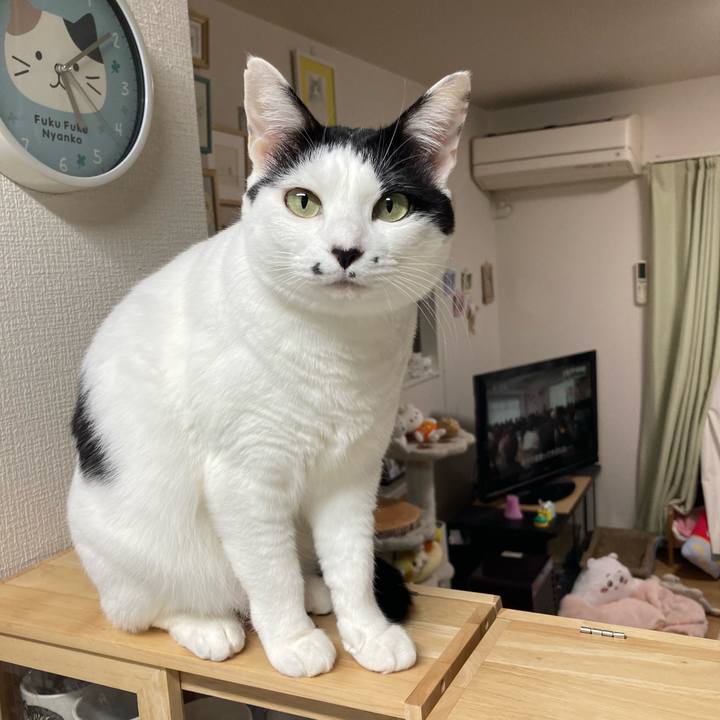 F622cb1b 30cb 43cd 8a21 6b1b8e796f25 1763150704878