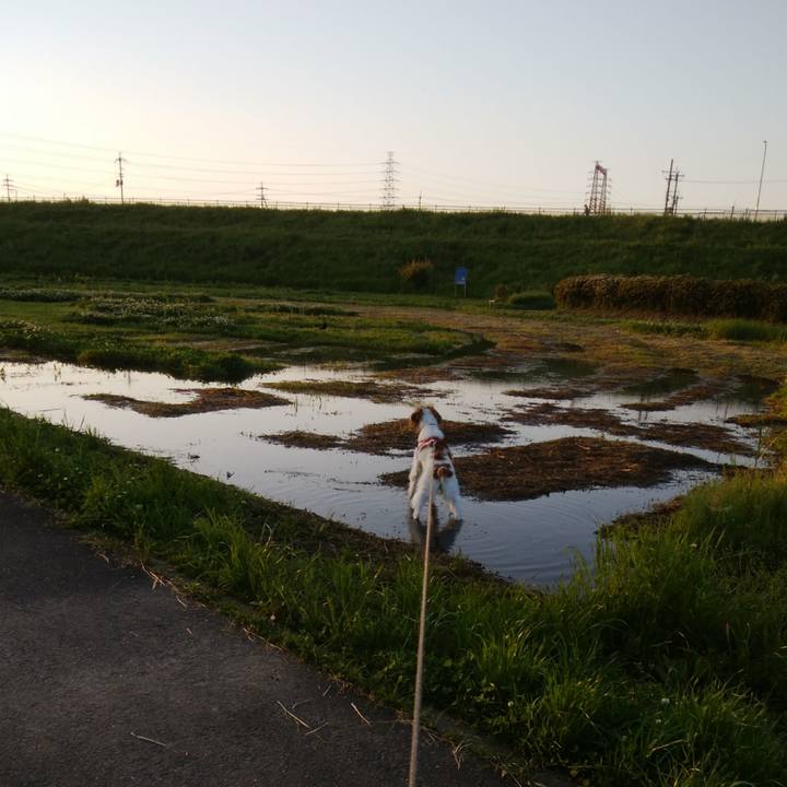 F622f1cc e20b 42c2 bd98 6e7d0fe477ed 1525954301987