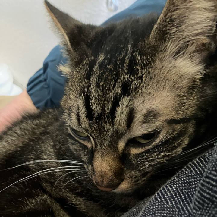 F622fa95 8fb3 430d bbfa e33338b315c2 1770945305240