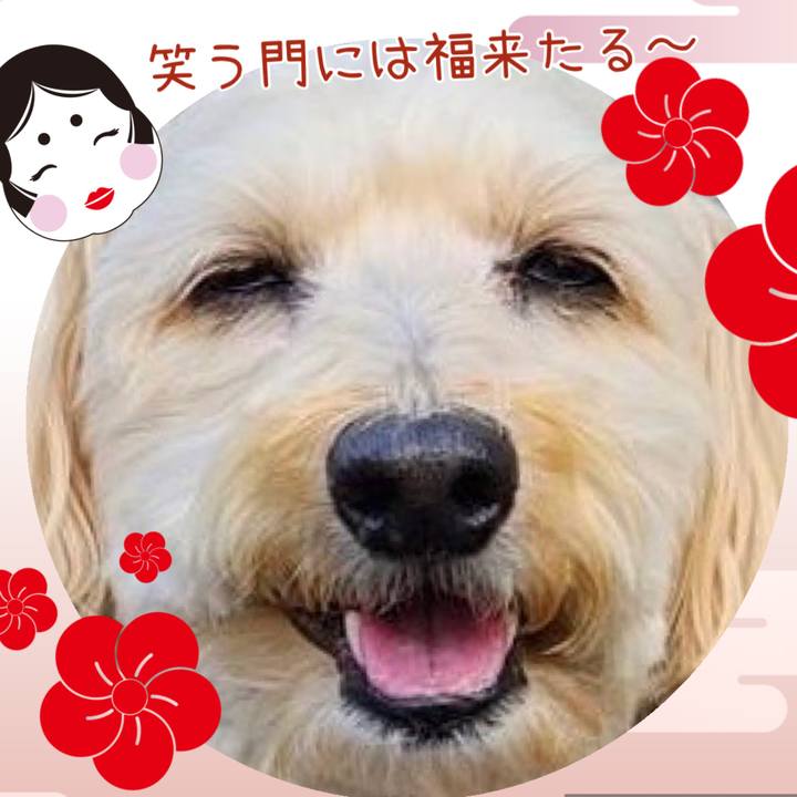 F623256c f373 408c a7a0 3ff1047006c8 1770079588468