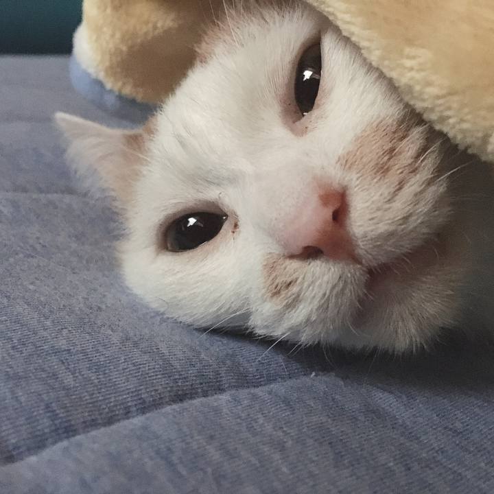 F6234a85 c58f 4470 95fe 71ba74d4b109 1571030276162