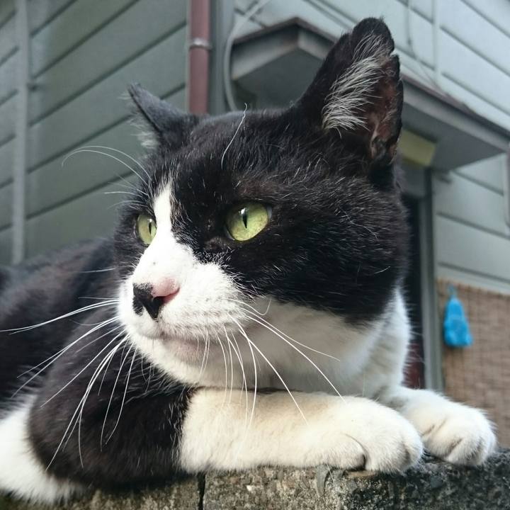 F6235a42 2815 4bc3 b143 1b2f8cb7ce8e 1524382833651