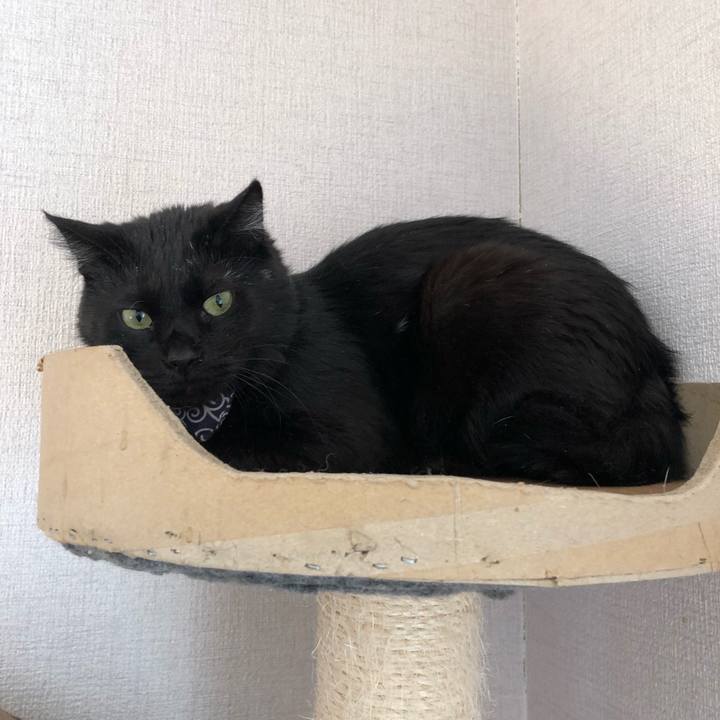 F6235d9f d45f 4e6c 81df 52276e468bca 1554892863038