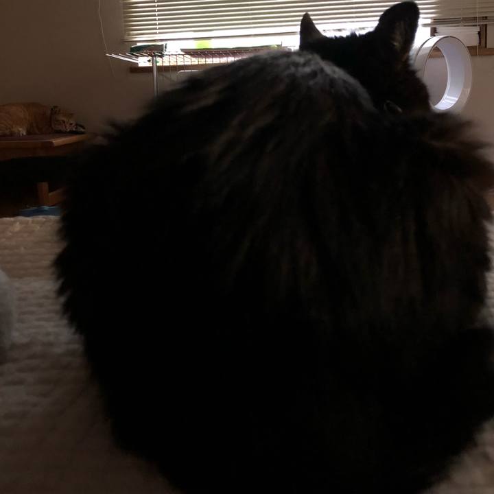 F6239f81 1324 4594 96df 0fa71ce51e10 1585342862159