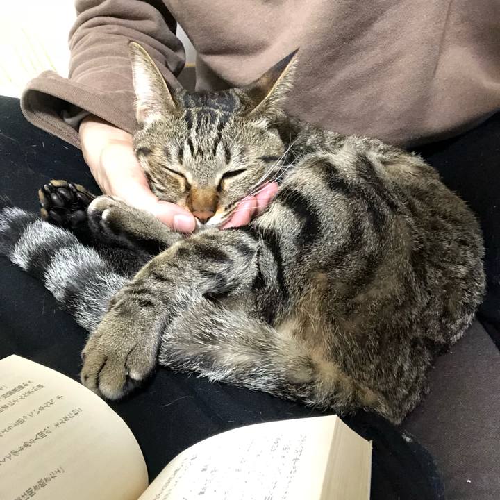 F623e2b9 20d3 4f0c ac0c c68770c119a5 1521215088932