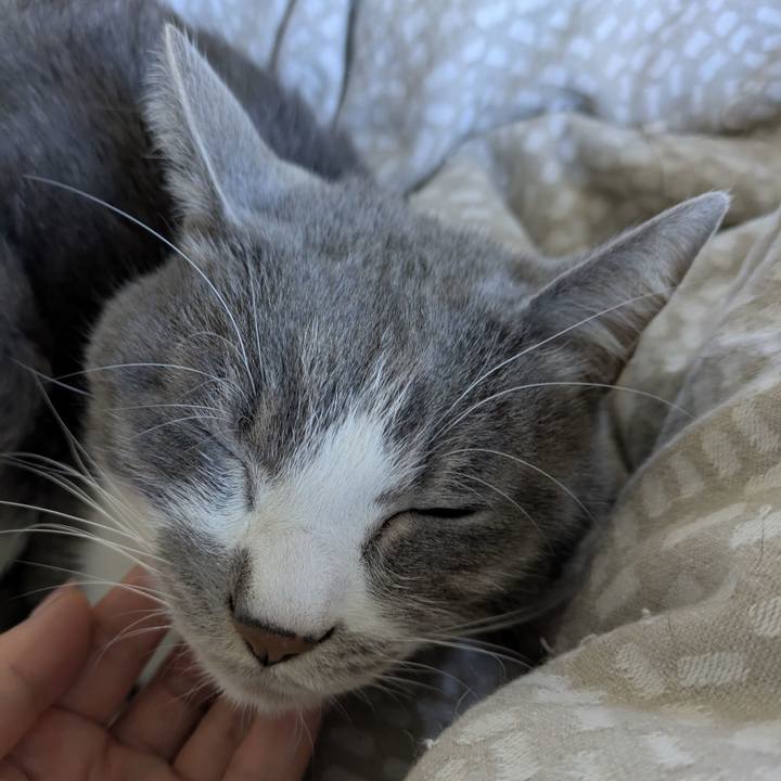 F623ea82 db4e 4c58 a117 8c0457531640 1763689702645