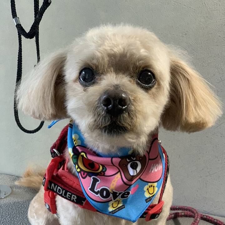 F623ef8e 41bc 4f73 b697 89253104135a 1710594776177