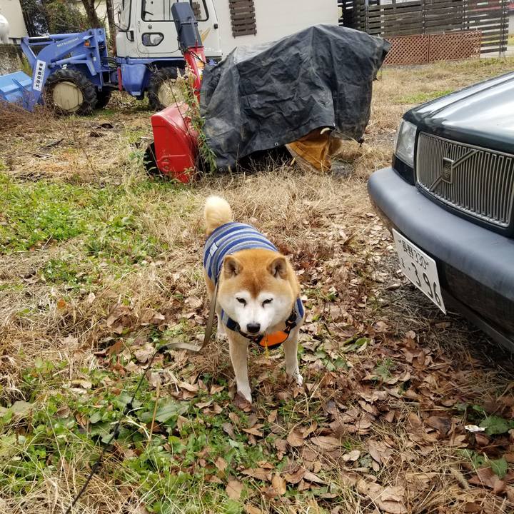 F624156f 8067 44a1 94ca cae165cb98b8 1638764460217