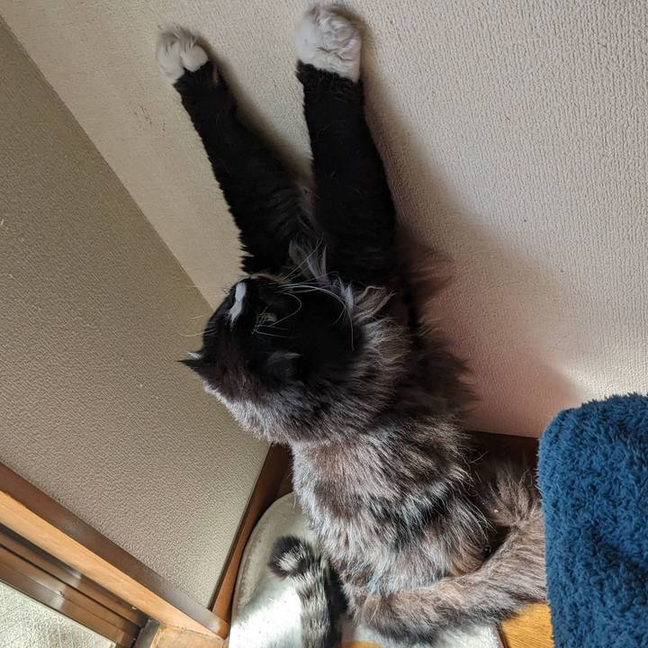 F6241f54 039d 4ed7 8f87 d15236c7e6f1 1710030870944