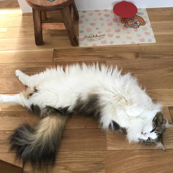 F6244372 6f56 4fa5 a59d 34f7403df7e3 1529984501291