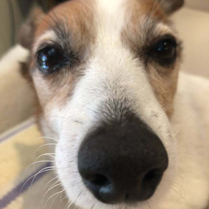 F624528a f991 4361 8bf8 728b802e6228 1553179849414