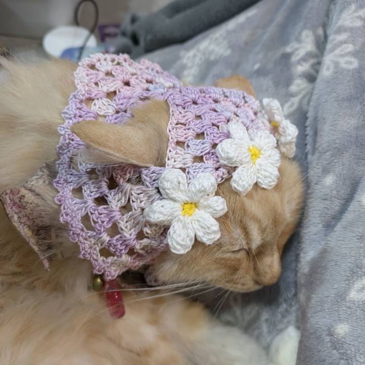 F6248eb8 2a95 4e6a b5f4 30cea66a69c3 1769965402860