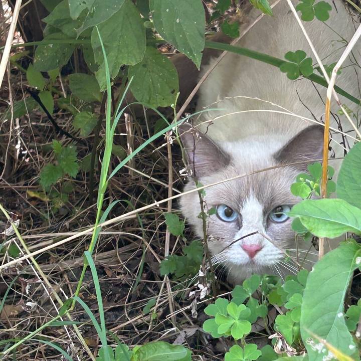 F624e631 66ca 4efd a8c7 d70dbd427c5a 1721737066938