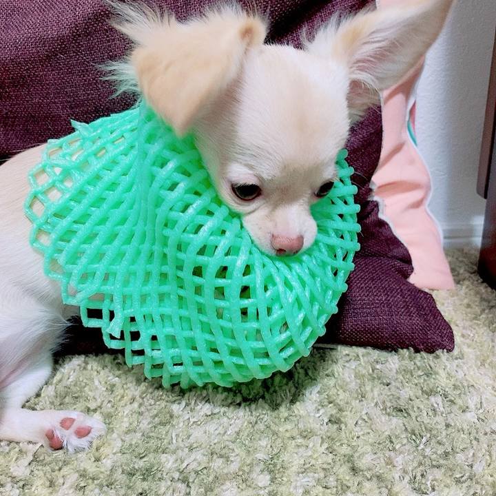 F6250ef3 6fed 4021 a6c8 ff6ff91221de 1594986601884