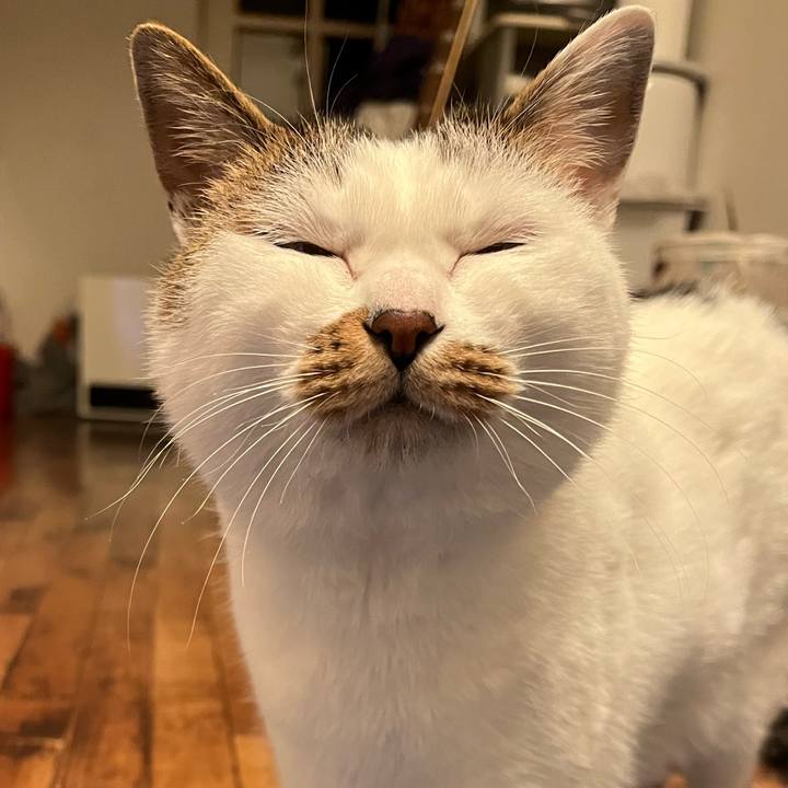 F625ac80 4e97 4ba9 88b1 ccec5617c282 1640955167590