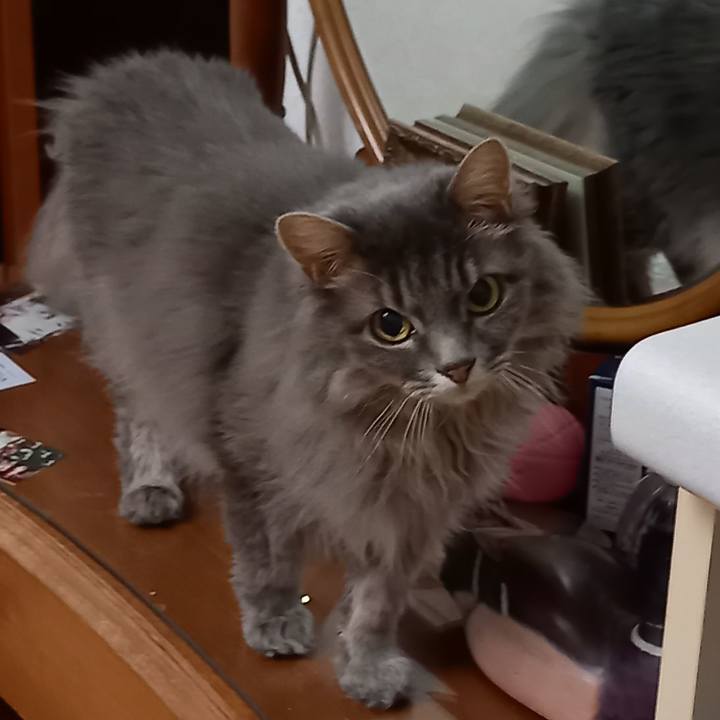 F625c065 0882 4f3d b8a5 22479ee388f4 1632050470683