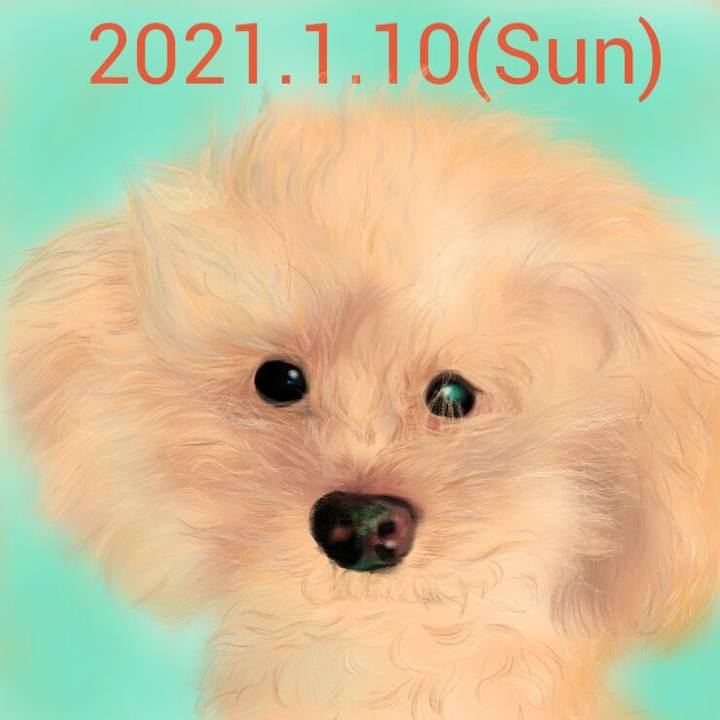 F625d0b3 0d5b 466f ab9d 95a916330a8a 1610264704125