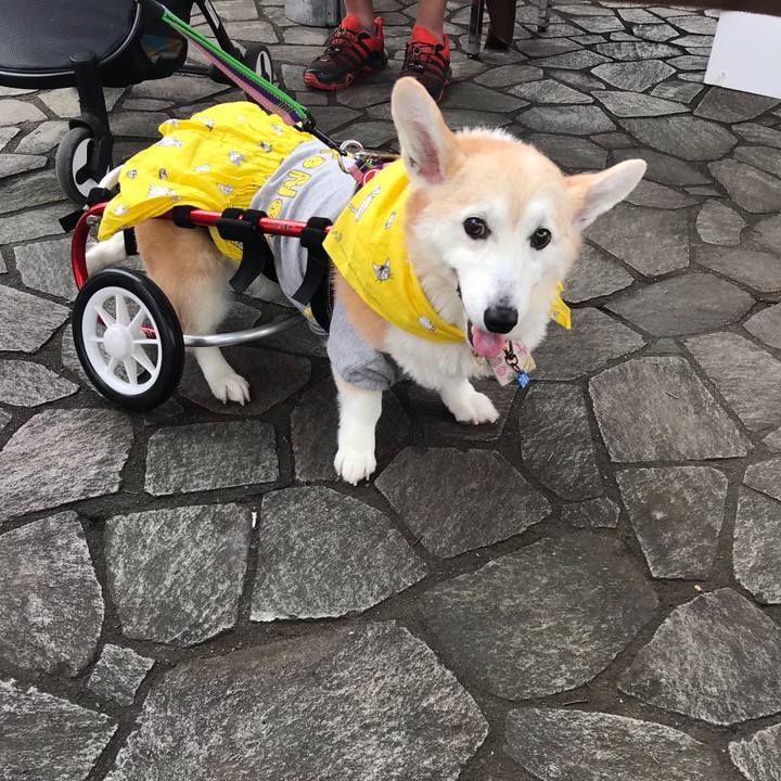 F6262776 a351 495b 8cd8 ceff58c54be1 1559973831812