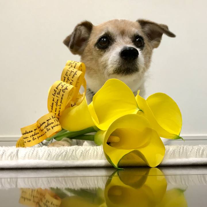 F6263db9 7534 4207 8f5b c0f82e20badb 1655373605669