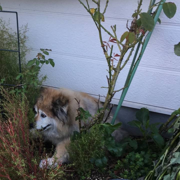 F62667e3 097c 401c bba1 d43fe7cb74f0 1609850993941