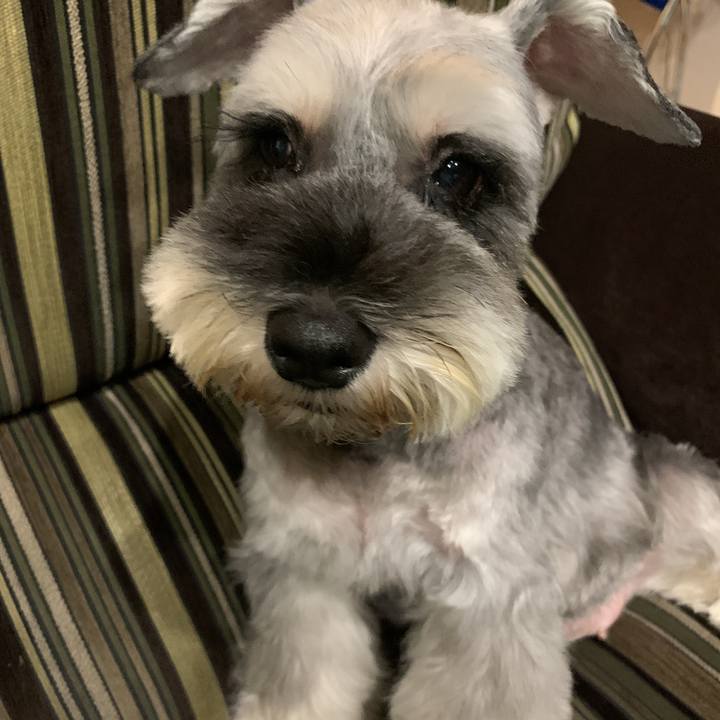 F6266856 9421 4f2d a2ee b94c382c072c 1597482247332