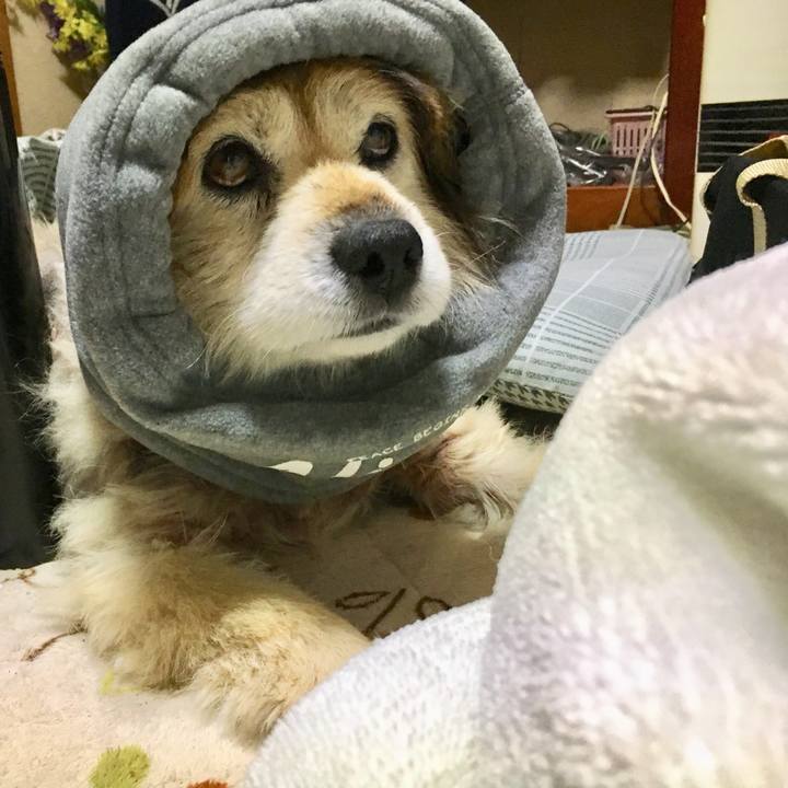 F62668e7 5f09 49de ad7b 3ad192777024 1587170198488