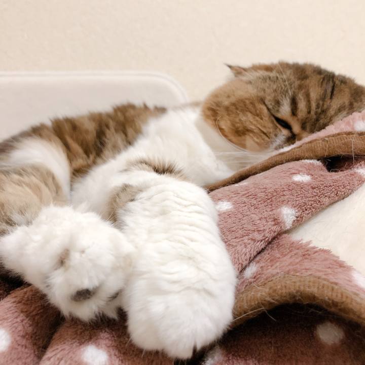 F6266f1e f32c 46bc a483 9190f0fe285c 1608903728882