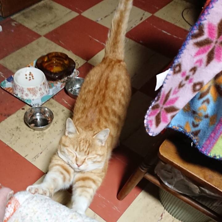 F626a96f d014 4c47 a456 9199b29722de 1585427193376