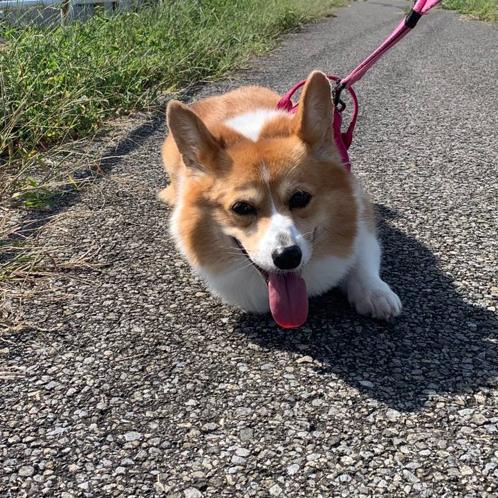 F626dfac 44fb 4319 8b58 9b29ea7f801a 1633487876529