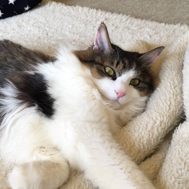 F626ec41 e86b 4d78 b30c 629ae8fdb154 1522214650833