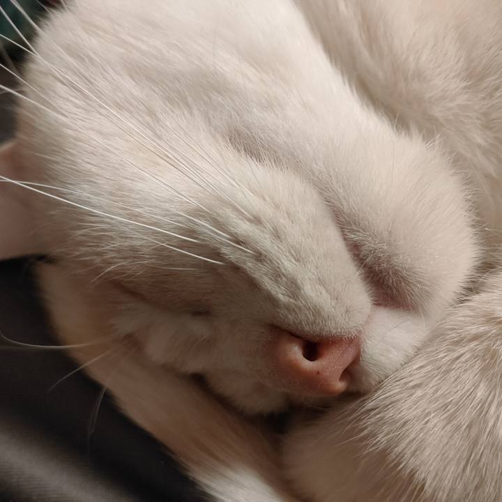 F6271556 41cb 4d7d 9ac2 1fd262e64e85 1644590191814