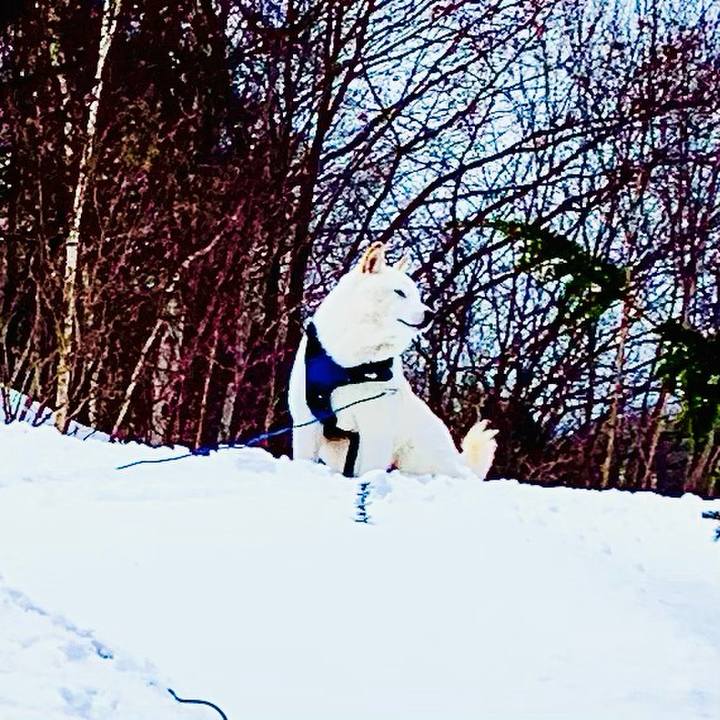 F6276b6f 1144 4cba 9ff9 a4cb7e852e80 1645941330327