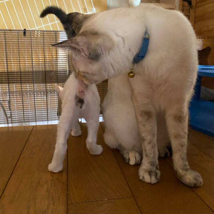 F627a083 353e 4d73 9764 bbd72b4b1414 1689495419598