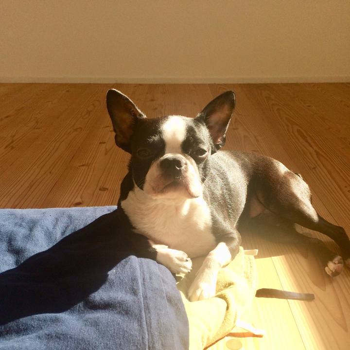 F627f497 bef4 442e 9951 58267109d7bc 1510277592979