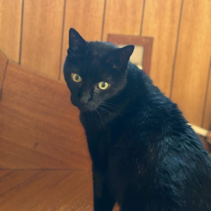 F62831a1 5027 4483 a022 0223a3d79e0b 1676851887861