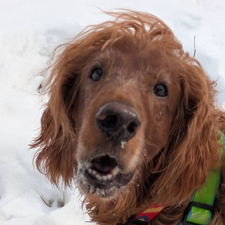 F6286852 f306 46eb 963d 44cc1c0529a1 1770692021964