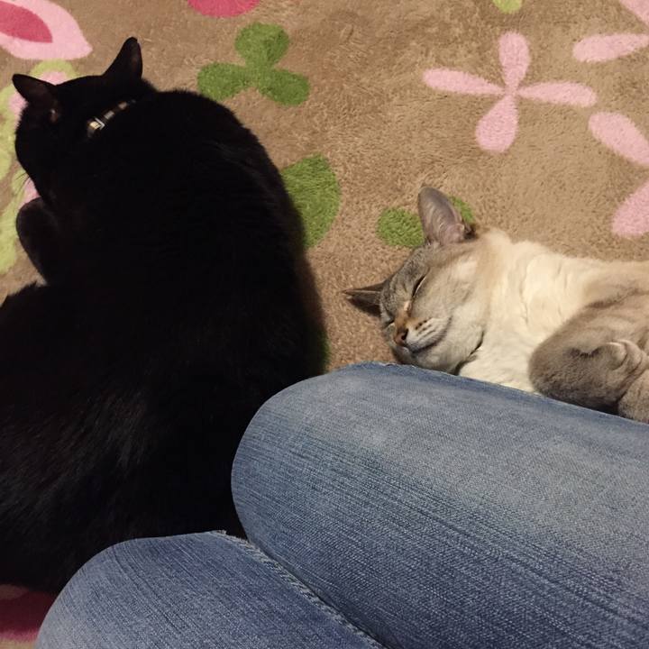 F6286880 dd45 44bb 9f05 960c3fa13da8 1519211823973