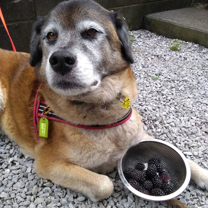 F628b2c8 0edc 426d 9357 41966781e45f 1562544096429