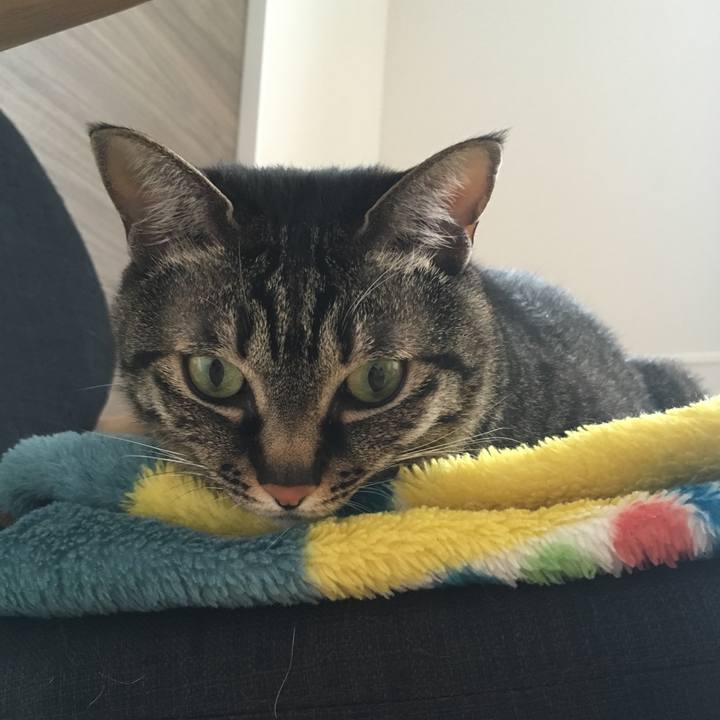 F628cecc 7d73 4e8a 84fd a311012e916f 1555893427709