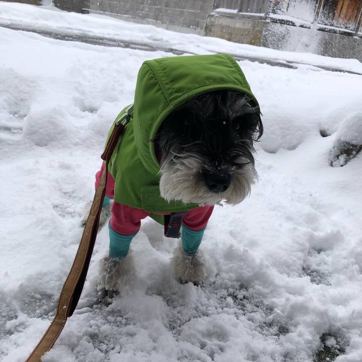 F628df9d 77a4 41a1 adee b8ce412d31eb 1674643429043