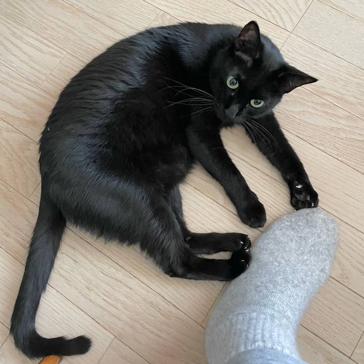 F629126f 91b5 48b4 b112 da4219c40098 1640482231204