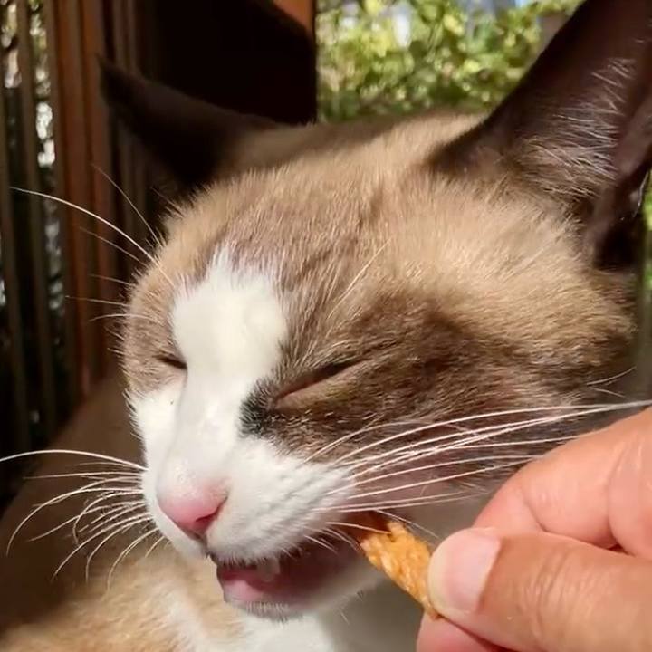 F6295a56 8862 4d42 9e63 4a5b34196cda 1729657131686