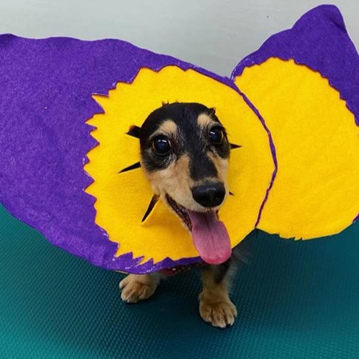 F629bd50 149f 4821 9b6f 7c0efd0d774c 1575505384700